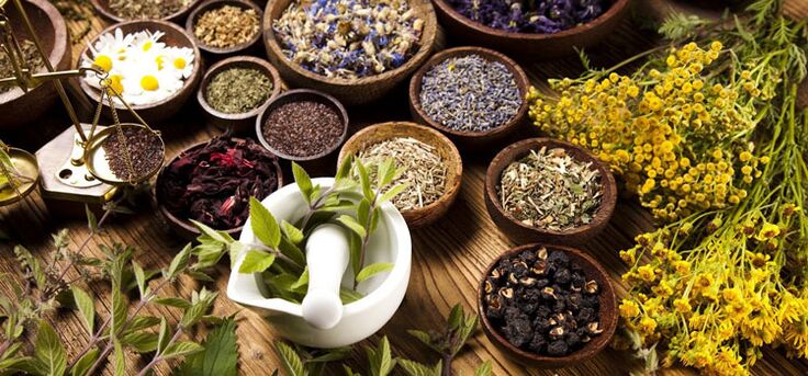 Herbs and herbs in alternative medicine help improve the condition of patients with prostatitis